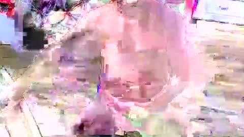 Snapshot of look4fun316 chatting on 11-04-25, 01:48 look4fun316 online show from 11-04-25, 01:48