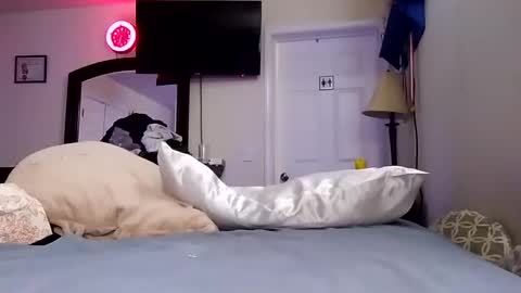 lookatmecum4you online show from 01-18-25, 11:32