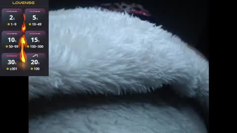 lorenitha online show from 10-27-25, 02:59