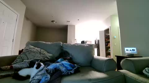 Snapshot of losrompecamera chatting on 11-17-25, 06:30 LosRompeCamera online show from 11-17-25, 06:30