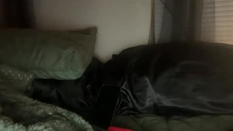 Snapshot of lottiepoppie chatting on 01-03-25, 11:03 Lottiepoppie online show from 01-03-25, 11:03