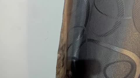 lotto_bloom online show from 01-14-26, 12:33