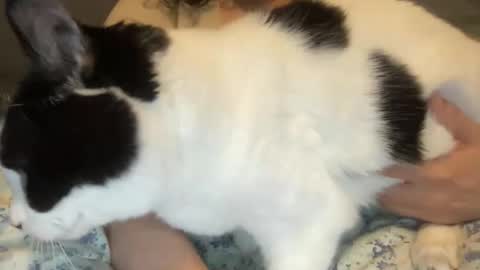 Snapshot of loveablekate chatting on 03-01-26, 12:40 Kate online show from 03-01-26, 12:40