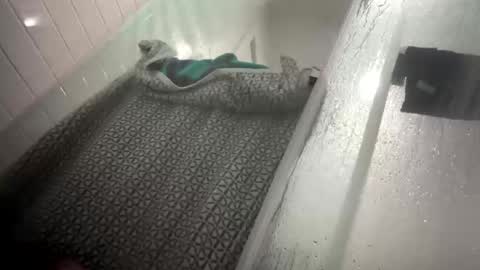 lovefeetonmyface29 online show from 09-22-25, 09:55