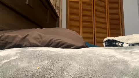 Snapshot of lovelace390 chatting on 02-12-25, 01:27 Amber online show from 02-12-25, 01:27