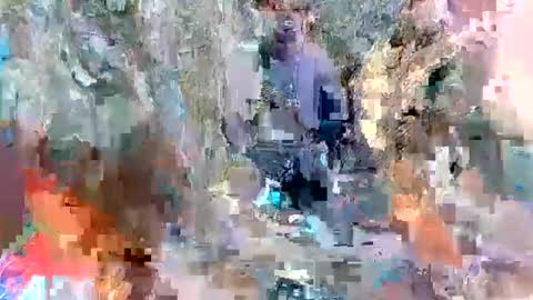 alexa alice jane daisy online show from 03-08-25, 02:19