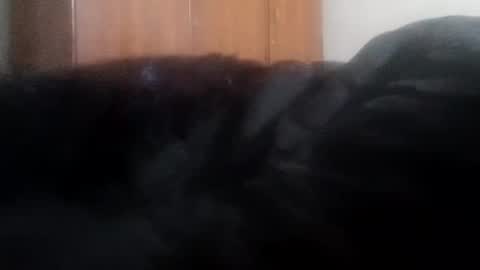 katrina follow me guys online show from 01-01-25, 04:07