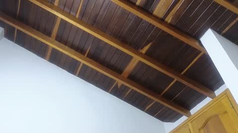 Snapshot of lovely_trix_ chatting on 01-20-25, 11:45 Trix online show from 01-20-25, 11:45