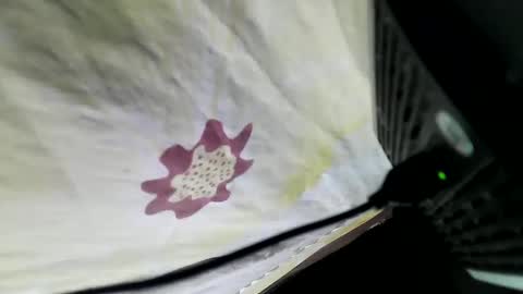 Snapshot of lovelypinay2 chatting on 02-05-25, 03:34 lovelypinay2 online show from 02-05-25, 03:34