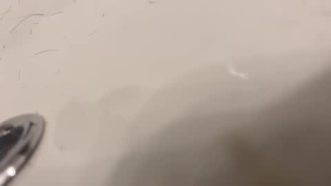 lovetoplayinmnwithu online show from 01-30-25, 11:34