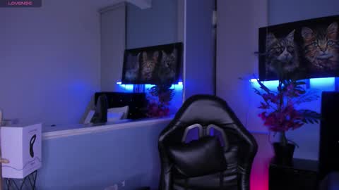 lucascarterr online show from 11-19-25, 03:39