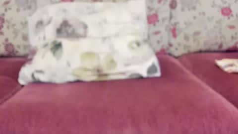 Mysterious Girl online show from 12-22-24, 08:49