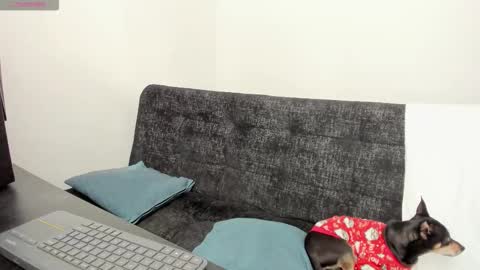 luci online show from 12-04-25, 07:11