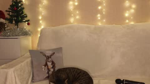 Katerina  online show from 12-25-24, 06:52