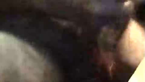 lukestarfckr online show from 11-18-25, 05:34