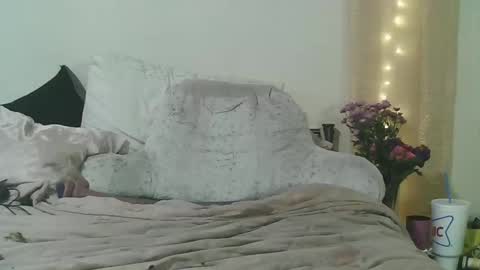 Snapshot of lunanova4 chatting on 03-04-26, 03:23 lunanova4 online show from 03-04-26, 03:23