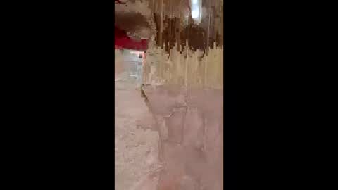 lustinaxxx online show from 12-14-25, 10:25