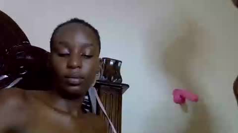 lutino_lovebirds online show from 04-11-26, 07:51