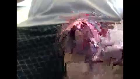 lutorres online show from 09-19-25, 11:55