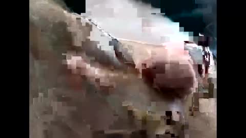 lutorres online show from 11-22-25, 03:33