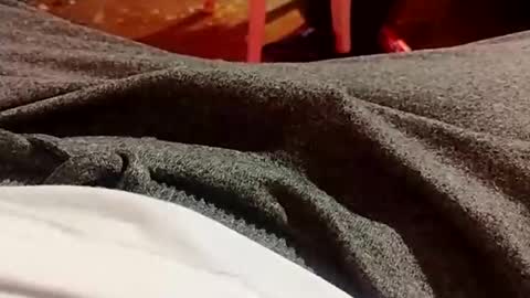 Snapshot of lvacd11 chatting on 12-21-24, 10:30 Lvac11 online show from 12-21-24, 10:30