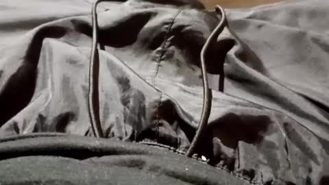 Snapshot of lvacd11 chatting on 09-26-25, 11:25 Lvac11 online show from 09-26-25, 11:25