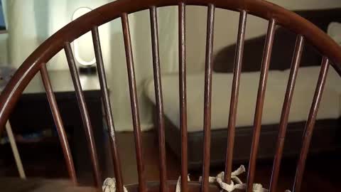 Snapshot of lyle_art chatting on 02-27-25, 06:18 hi im Lyle online show from 02-27-25, 06:18