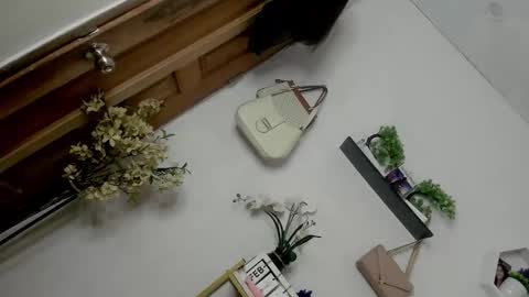 Janelovesu online show from 02-13-26, 12:50