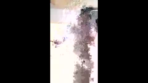 maciasbraulio846 online show from 02-03-26, 06:00