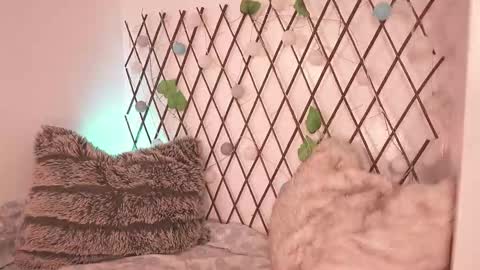 Noah Askew online show from 11-28-25, 07:27