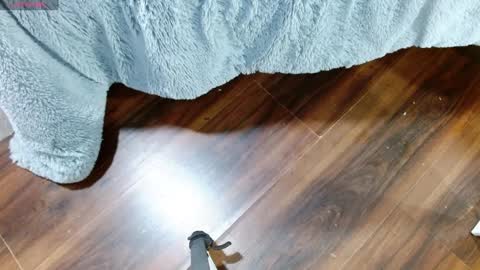 Snapshot of maddy_14 chatting on 01-28-25, 12:32 Maddy UwU online show from 01-28-25, 12:32