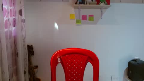 Snapshot of madisoncambel chatting on 01-29-25, 10:11 Madison Cambel online show from 01-29-25, 10:11