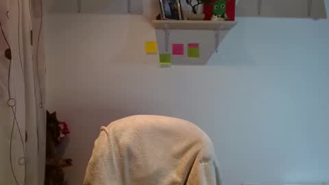 Snapshot of madisoncambel chatting on 02-12-25, 03:40 Madison Cambel online show from 02-12-25, 03:40