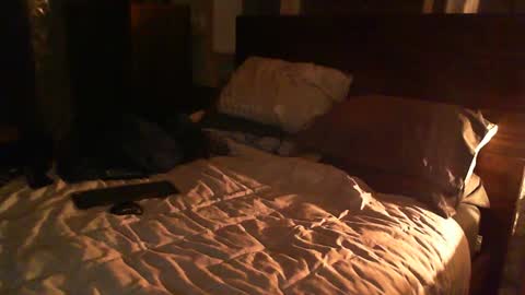 Guigui online show from 02-26-25, 12:38