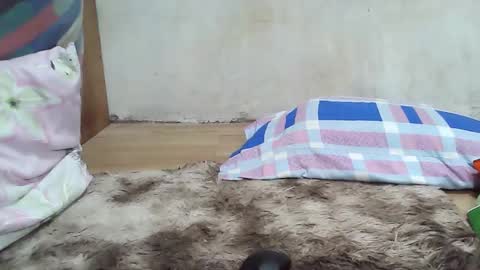 maegold69 online show from 01-08-26, 04:53