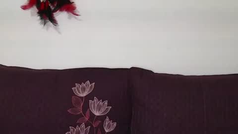 magic door open online show from 10-30-25, 09:11