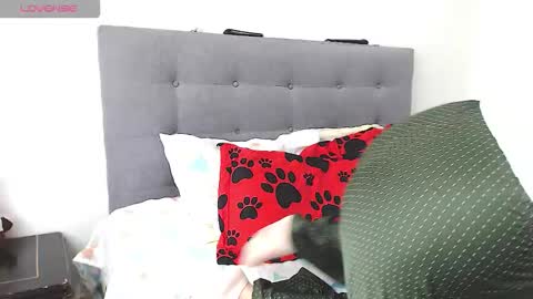 Snapshot of magic_stephany__ chatting on 02-04-26, 01:28 magic_stephany__ online show from 02-04-26, 01:28