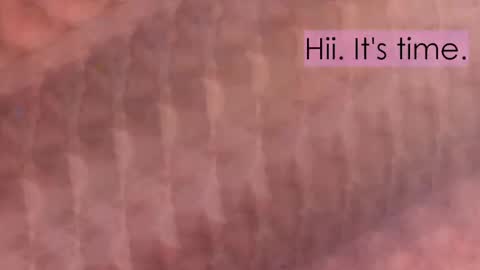 Snapshot of maitte_angel chatting on 04-02-26, 12:03 maitte_angel online show from 04-02-26, 12:03