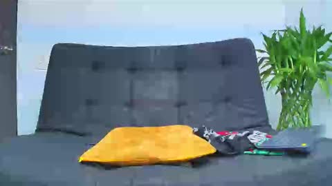 Malcom online show from 02-06-26, 02:16