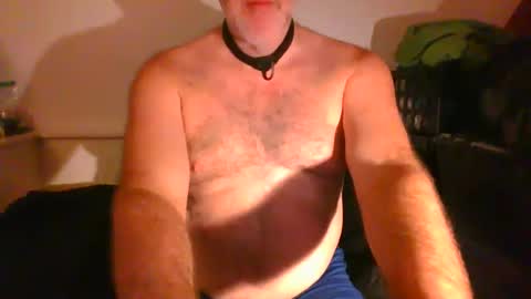 Snapshot of malebdsmslut chatting on 09-09-25, 07:08 CommandbondageNipples bondage kink submissive lovense slave wgear. modequiethvyBondage If Password goldfish online show from 09-09-25, 07:08