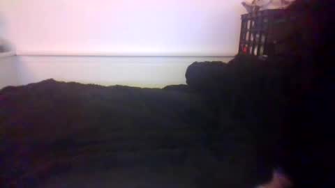 CommandbondageNipples bondage kink submissive lovense slave wgear. modequiethvyBondage If Password goldfish online show from 10-20-25, 07:20