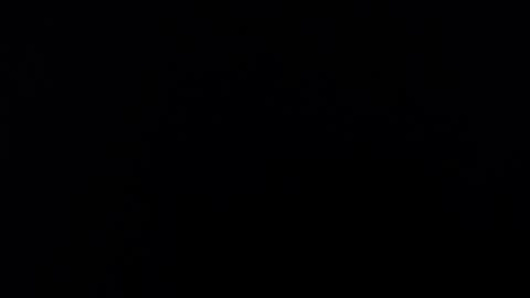 Alice Asylum online show from 11-16-25, 03:45