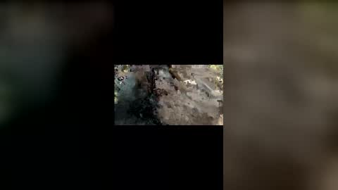 Mallubull online show from 11-25-25, 08:42