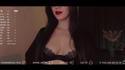 Snapshot of mamiemeow chatting on 01-22-25, 03:40 Your Miss Alice online show from 01-22-25, 03:40