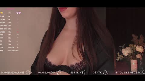 Snapshot of mamiemeow chatting on 01-30-25, 03:51 Your Miss Alice online show from 01-30-25, 03:51