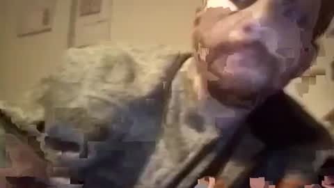 Snapshot of maniaksfucker chatting on 01-18-25, 07:38 LANGERFICK online show from 01-18-25, 07:38