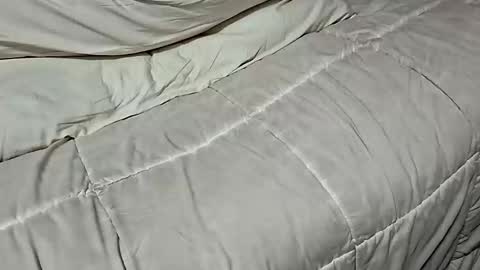 Snapshot of manlymanson chatting on 11-17-25, 08:42 Dickinabox online show from 11-17-25, 08:42