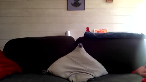 Snapshot of manpower2012 chatting on 10-12-25, 01:43 Manpo online show from 10-12-25, 01:43