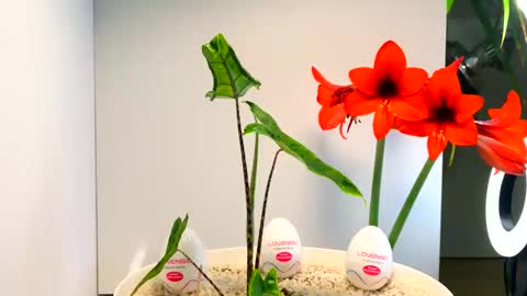 Snapshot of manup1977 chatting on 12-16-25, 12:48 manup1977 online show from 12-16-25, 12:48