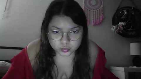 Snapshot of mapleless chatting on 11-04-25, 05:50 mapleless online show from 11-04-25, 05:50